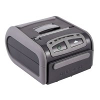 imprimanta termica DPP-250 RS/USB